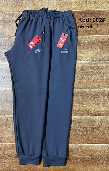 Штаны спорт Ayden (56-64) 002N blue (деми)