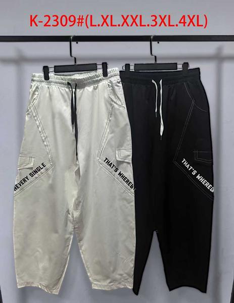 Штаны спорт Saint Wish (L-4XL) K2309 black (деми)