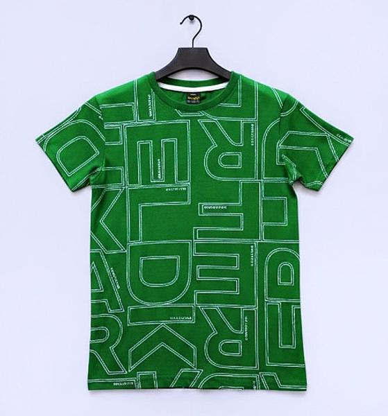 Футболка Dino (13-16) DN379 green (лето)