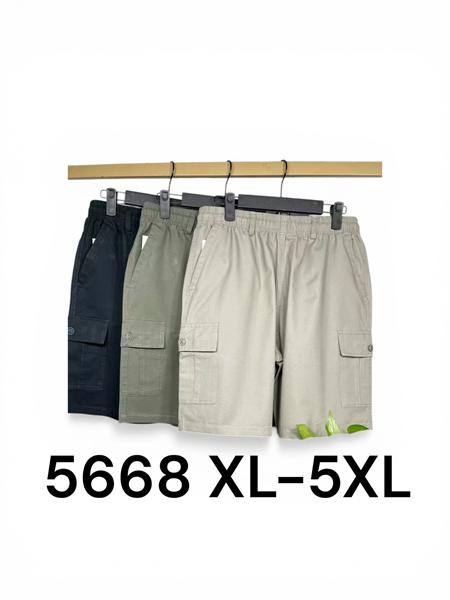 Шорты LiOpt (XL-5XL) 5668 black (лето)