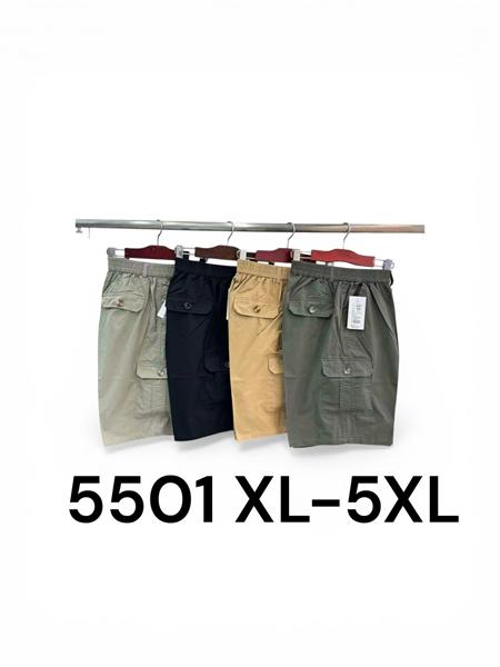 Шорты LiOpt (XL-5XL) 5501 black (лето)