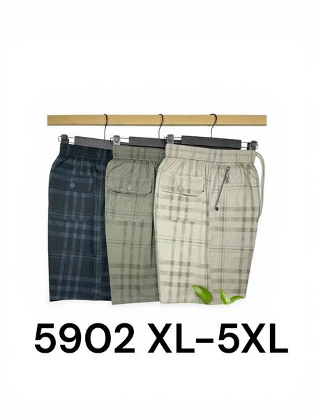 Шорты LiOpt (XL-5XL) 5902 black (лето)