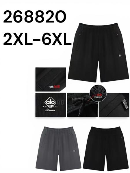 Шорты LiOpt (2XL-6XL) 268820 black (лето)