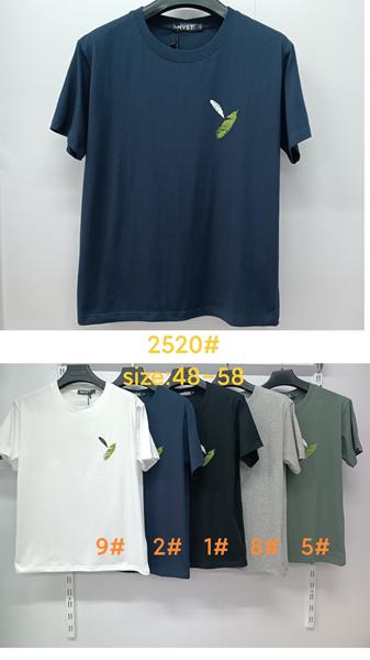 Футболка LiOpt (48-58) 2520-5 green (лето)