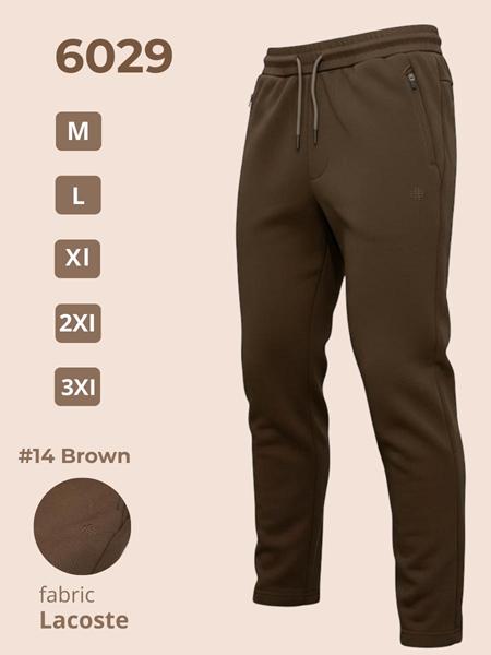 Штаны спорт 2BRO (M-3XL) 6029 brown (деми)