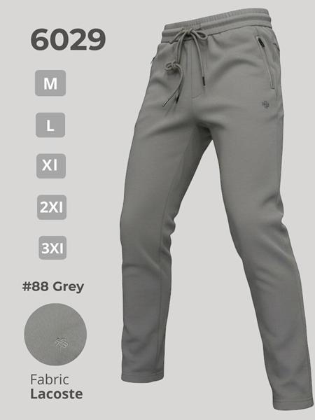 Штаны спорт 2BRO (M-3XL) 6029 grey (деми)