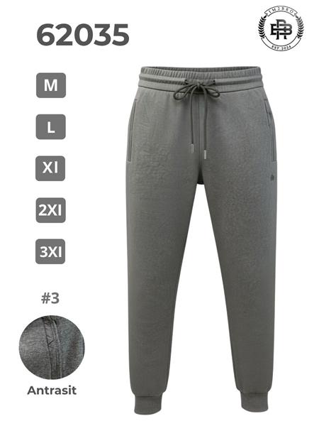 Штаны спорт 2BRO (M-3XL) 62035 grey (деми)