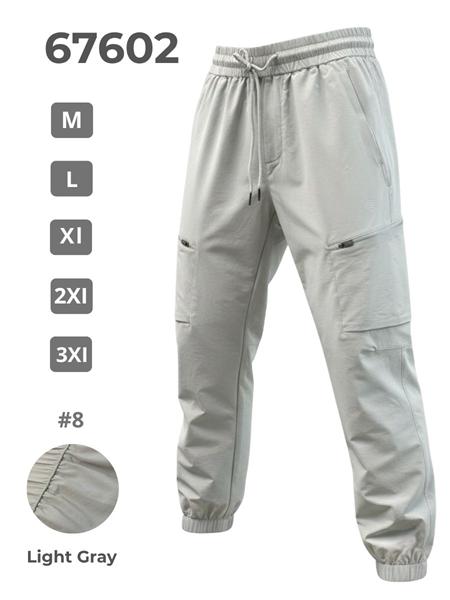 Штаны спорт 2BRO (M-3XL) 67602 l.grey (деми)