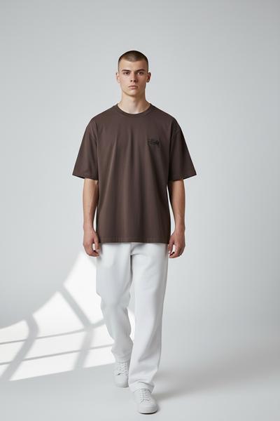 Футболка 2BRO (M-2XL) BR928 brown (лето)