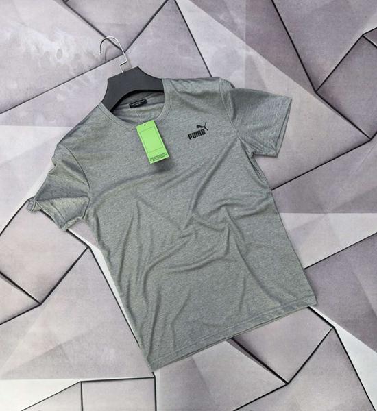 Футболка Rassul (S-2XL) 66761 grey (лето)