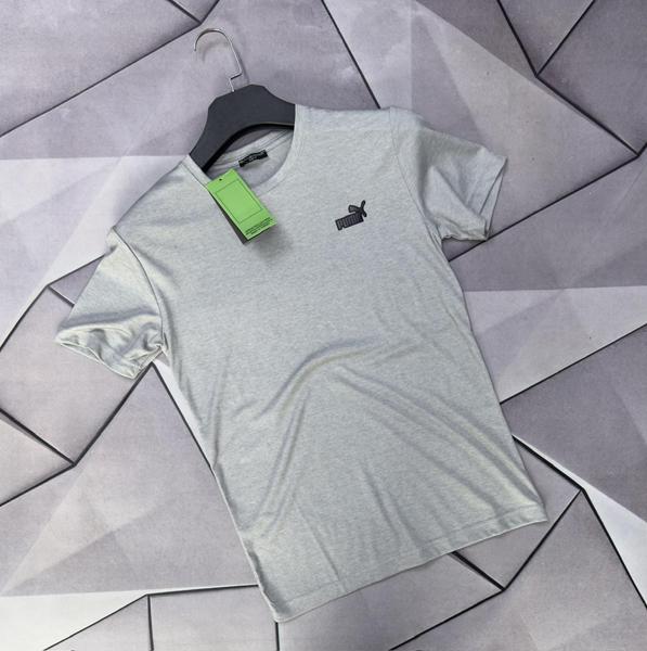 Футболка Rassul (S-2XL) 66763 grey (лето)