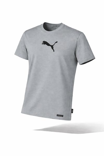 Шорты Alex Clothes (S-2XL) 14099 grey (лето)