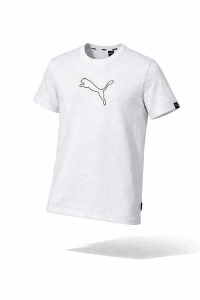 Футболка Alex Clothes (S-2XL) 14103 white (лето)