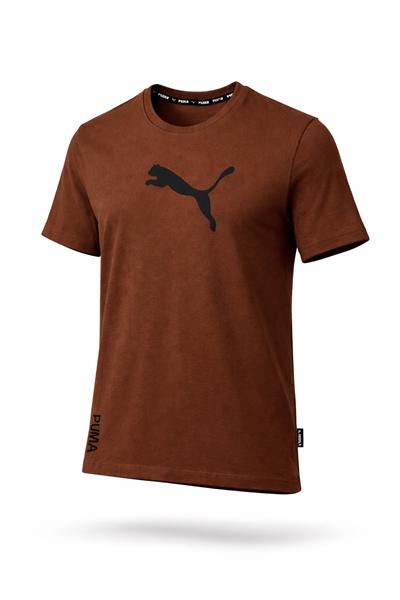 Футболка Alex Clothes (S-2XL) 14106 brown (лето)