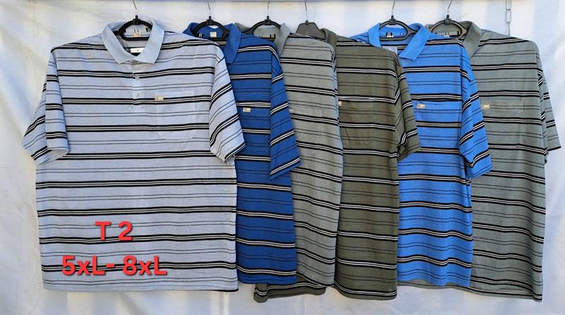 Футболка Peng (5XL-8XL) T2 mix (лето)