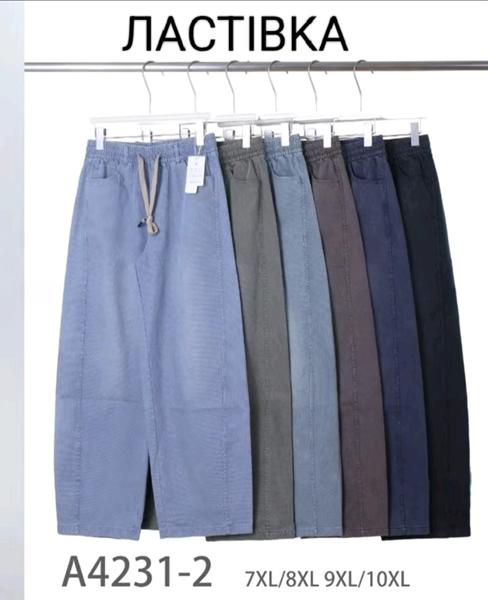 Штаны Hoan (7XL-10XL) 4231-2 mix (деми)