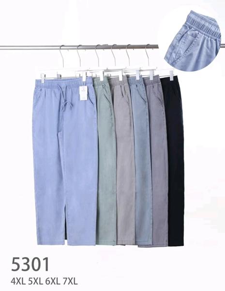 Штаны Hoan (4XL-7XL) 5301 mix (деми)