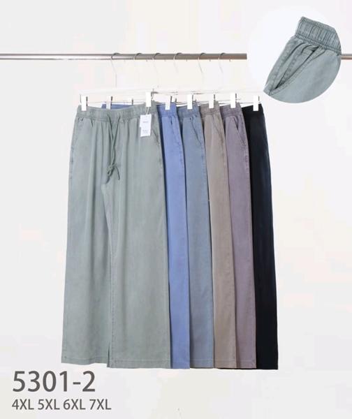 Штаны Hoan (4XL-7XL) 5301-2 mix (деми)