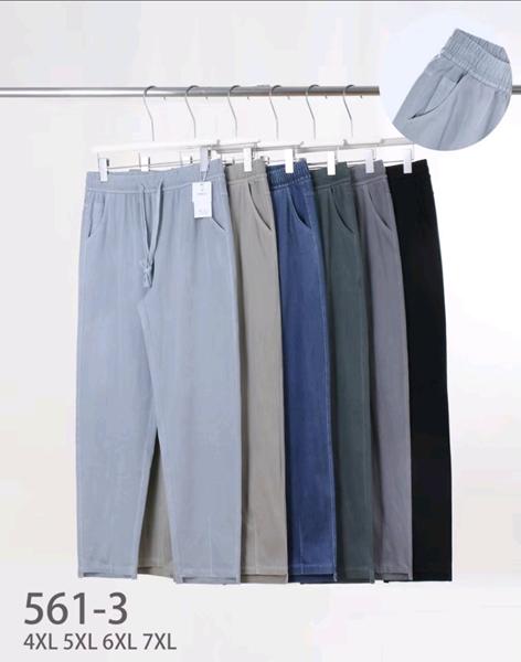 Штаны Hoan (4XL-7XL) 561-3 mix (деми)