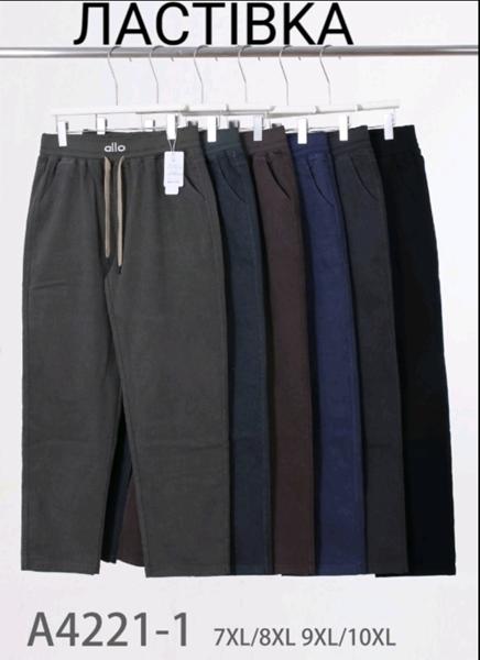 Штаны Hoan (7XL-10XL) A4221-1 mix (деми)