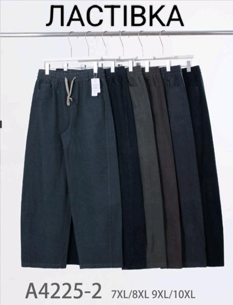 Штаны Hoan (7XL-10XL) A4225-2 mix (деми)
