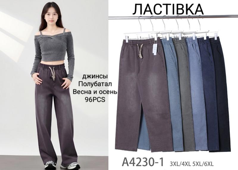 Штаны Hoan (3XL-6XL) A4230-1 mix (деми)