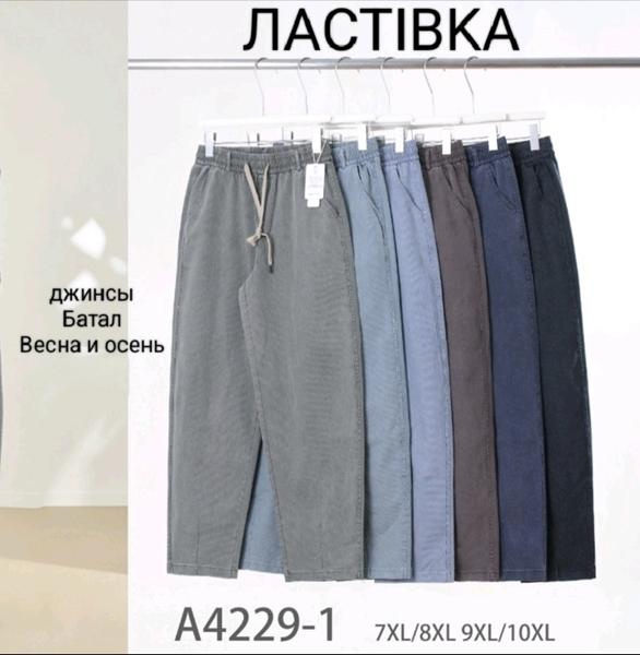 Штаны Hoan (7XL-10XL) A4249-1 mix (деми)