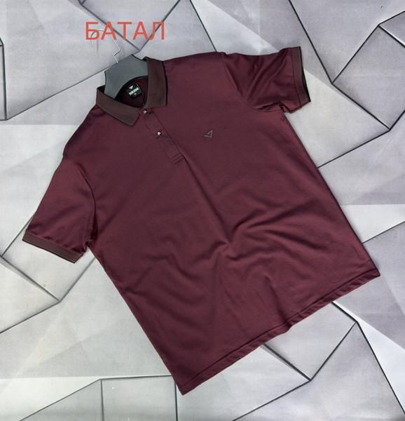 Футболка Rassul (XL-5XL) 66847 wine (лето)