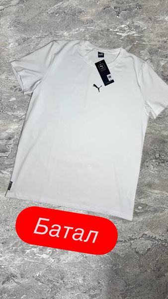 Футболка Vegas (2XL-6XL) VG70 white (лето)