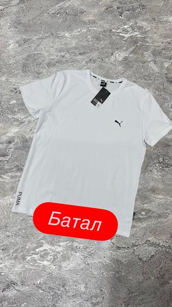 Футболка Vegas (2XL-6XL) VG72 white (лето)