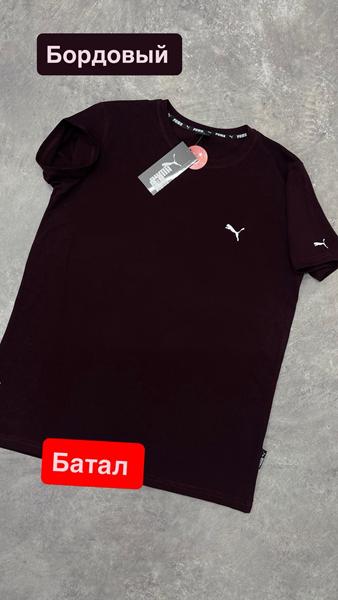 Футболка Vegas (2XL-6XL) VG77 wine (лето)