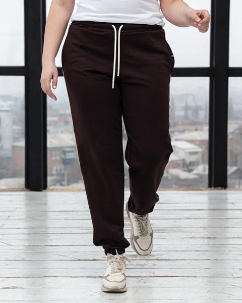 Штаны спорт AZNA (XL-4XL) Б64 chocolate (деми)