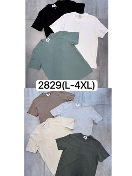 Футболка LiOpt (L-4XL) 2829 white (лето)