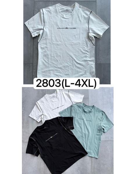 Футболка LiOpt (L-4XL) 2803 white (лето)