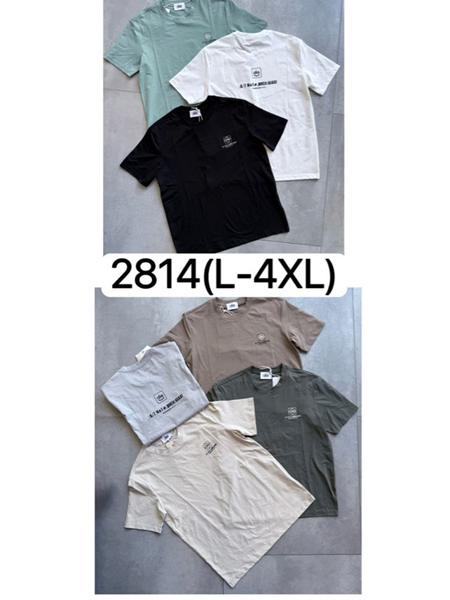 Футболка LiOpt (L-4XL) 2814 brown (лето)