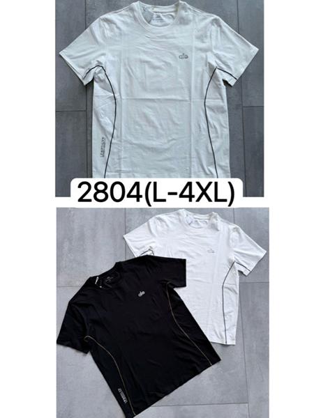 Футболка LiOpt (L-4XL) 2804 black (лето)