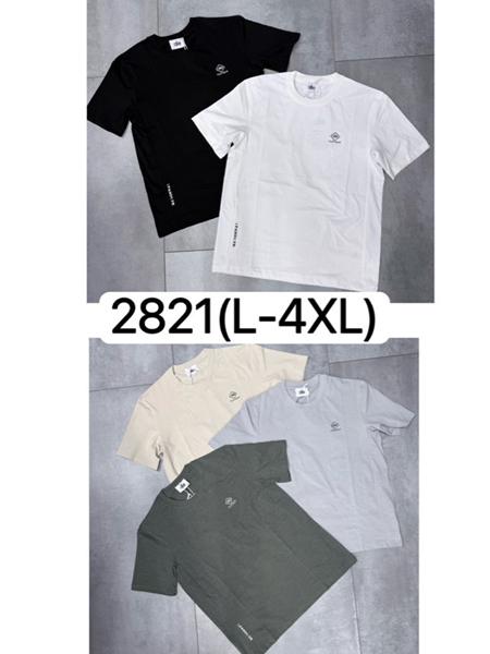 Футболка LiOpt (L-4XL) 2821 black (лето)