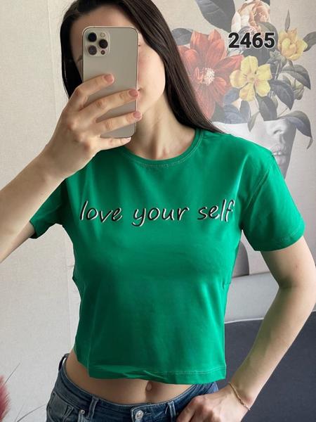 Футболка FSN (42-48) 2465 green (лето)