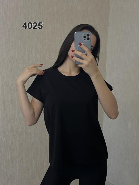 Футболка FSN (48-54) 4025 black (лето)