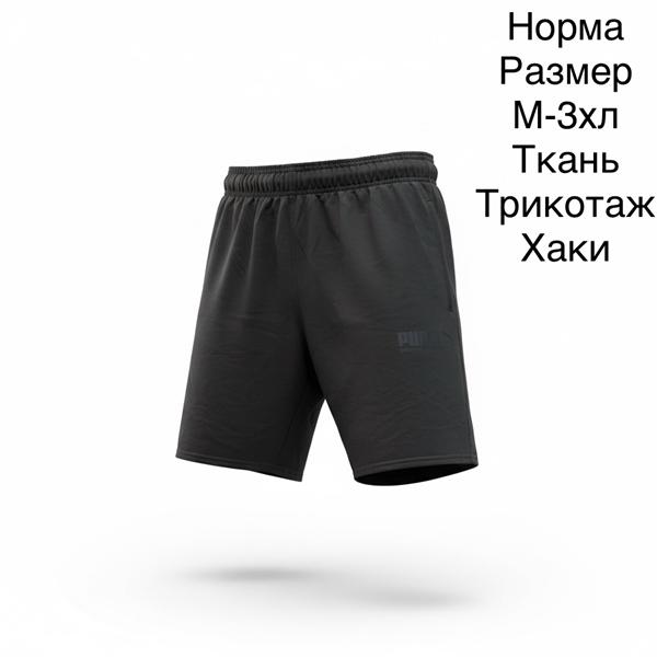 Шорты Hai (M-3XL) H1155 khaki (лето)