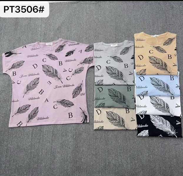 Футболка Шаолинь (56-66) PT3506 mix (лето)