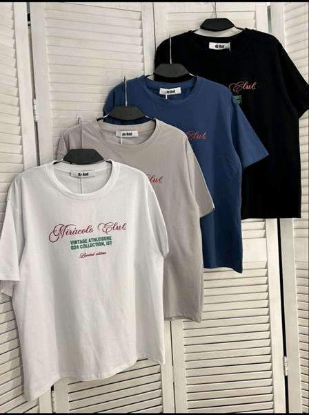 Футболка Шаолинь (46-48) SH201 grey (лето)