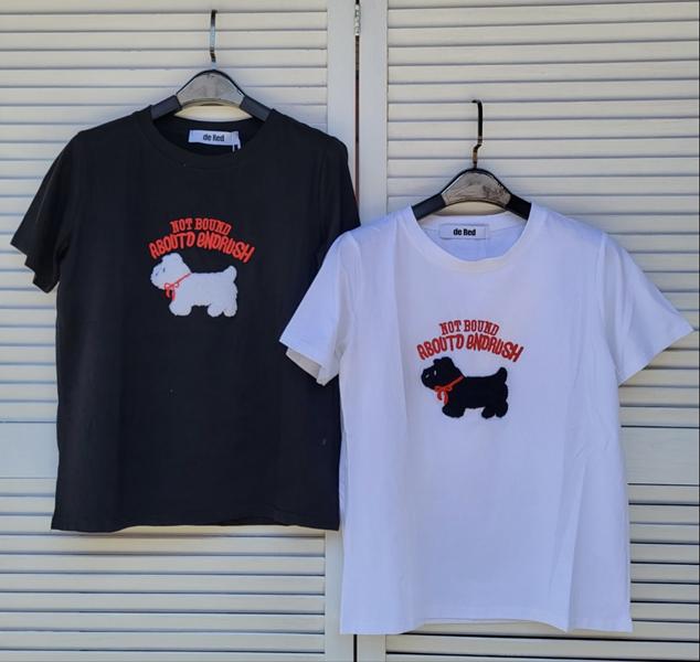 Футболка Шаолинь (46-48) SH217 mix (лето)