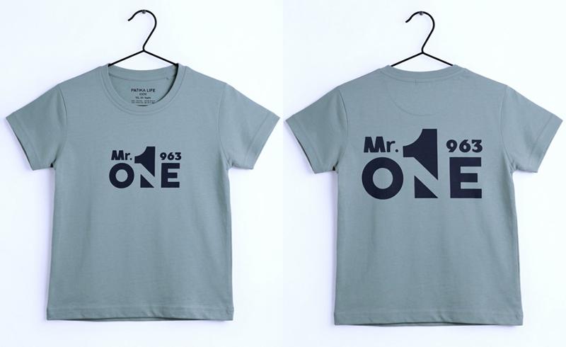 Футболка Dino (4-8) DN554 grey (лето)