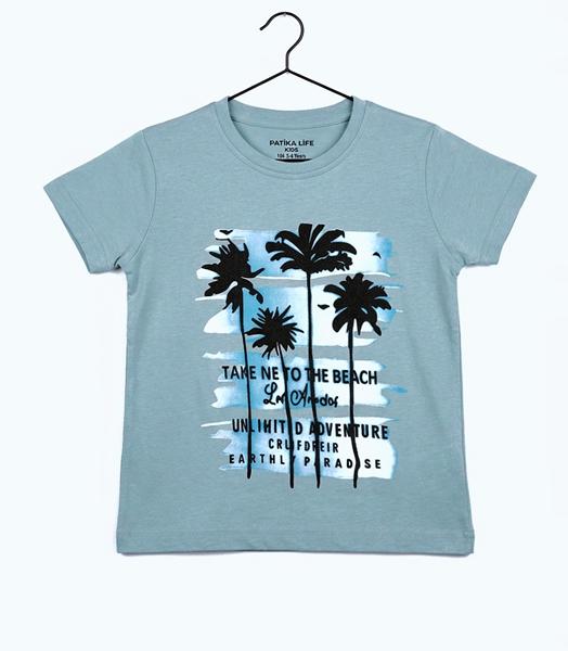 Футболка Dino (4-8) DN561 grey (лето)