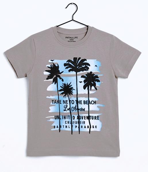 Футболка Dino (4-8) DN567 grey (лето)