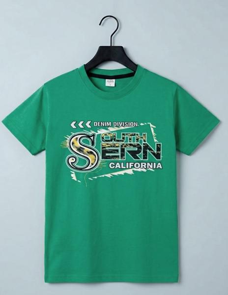 Футболка Dino (9-13) DN588 green (лето)