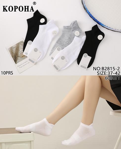 Носки Redoor (37-42) B2815-2 mix (лето)