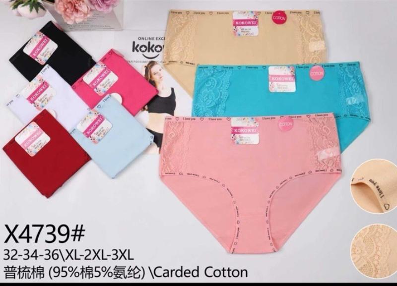 Трусы Redoor (XL-3XL) X4739 mix (лето)