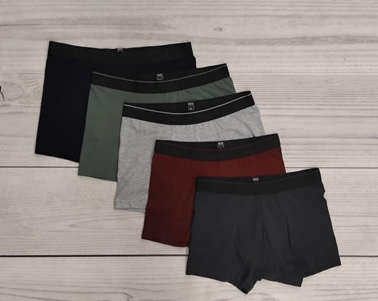 Трусы Imlion (48-56) 307 l.grey (деми)